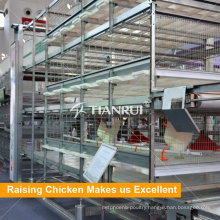 4 Tiers Automatic Manure Removing Battery Cages for Broilers